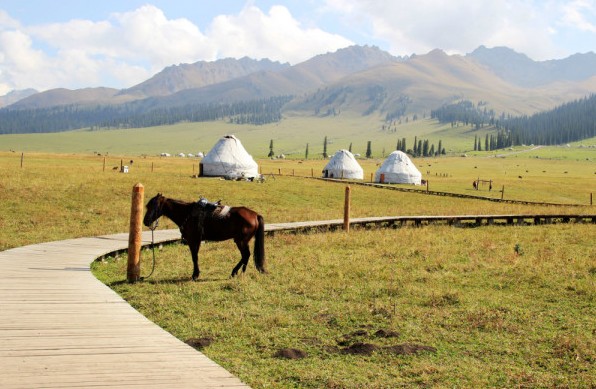 Bayanbulak Grassland